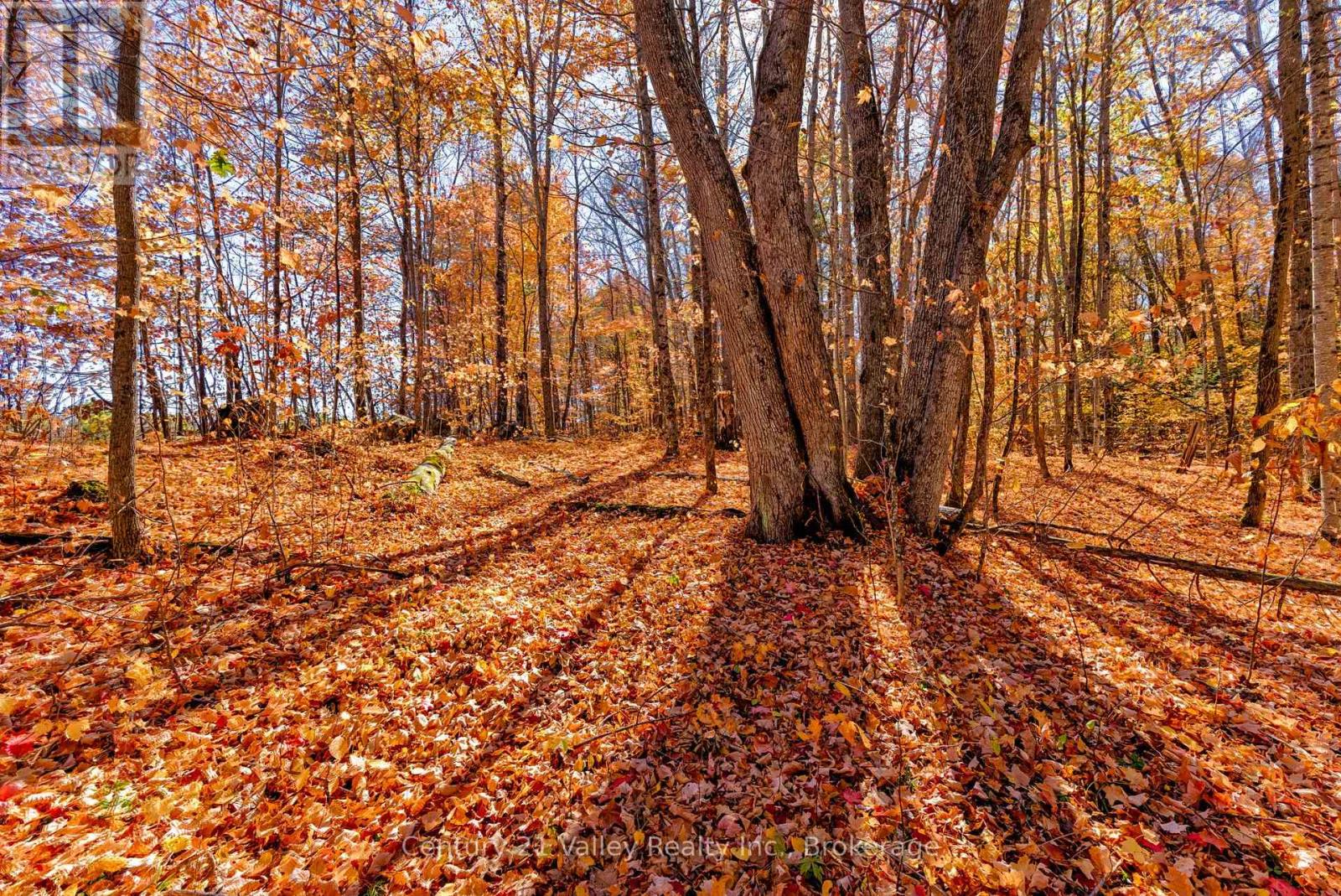 0 Gorman Road, Bonnechere Valley, Ontario  K0J 2A0 - Photo 28 - X12465626