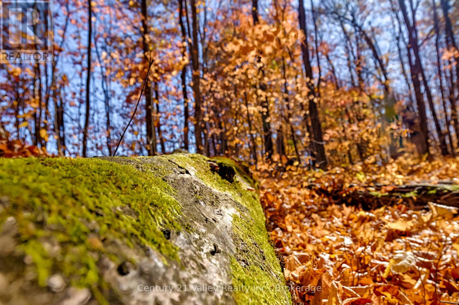 0 Gorman Road, Bonnechere Valley, Ontario  K0J 2A0 - Photo 29 - X12465626