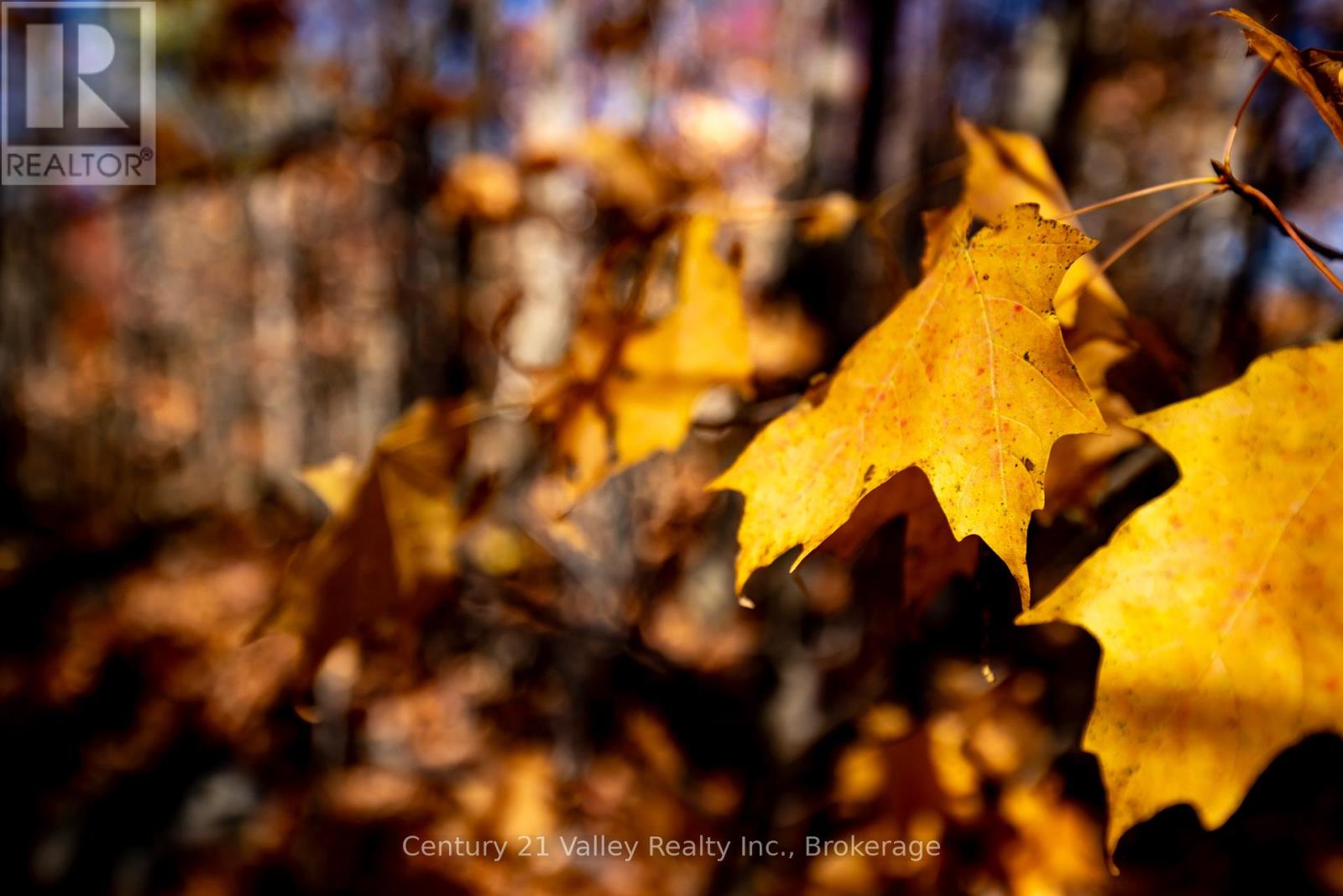 0 Gorman Road, Bonnechere Valley, Ontario  K0J 2A0 - Photo 30 - X12465626