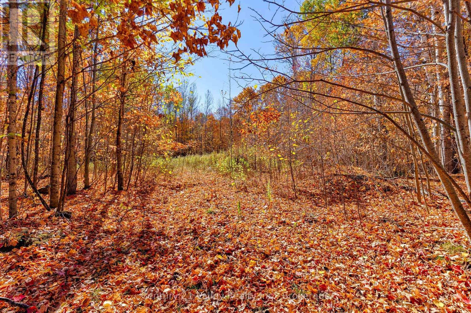 0 Gorman Road, Bonnechere Valley, Ontario  K0J 2A0 - Photo 8 - X12465626
