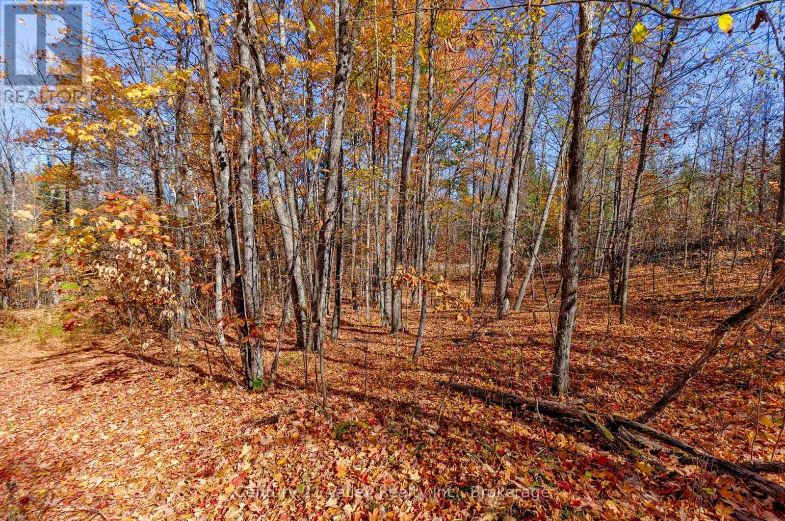 0 Gorman Road, Bonnechere Valley, Ontario  K0J 2A0 - Photo 9 - X12465626