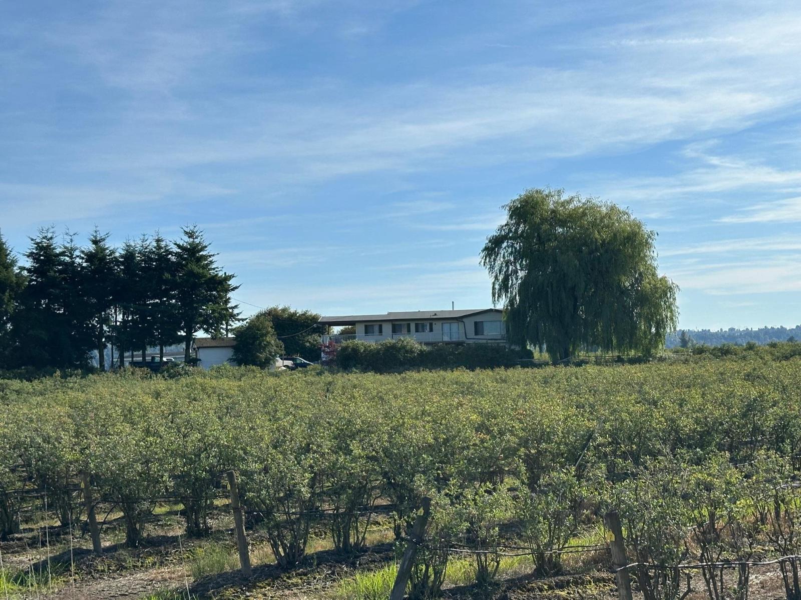 32702 Harris Road, Abbotsford, British Columbia  V4X 1W1 - Photo 2 - R3058675