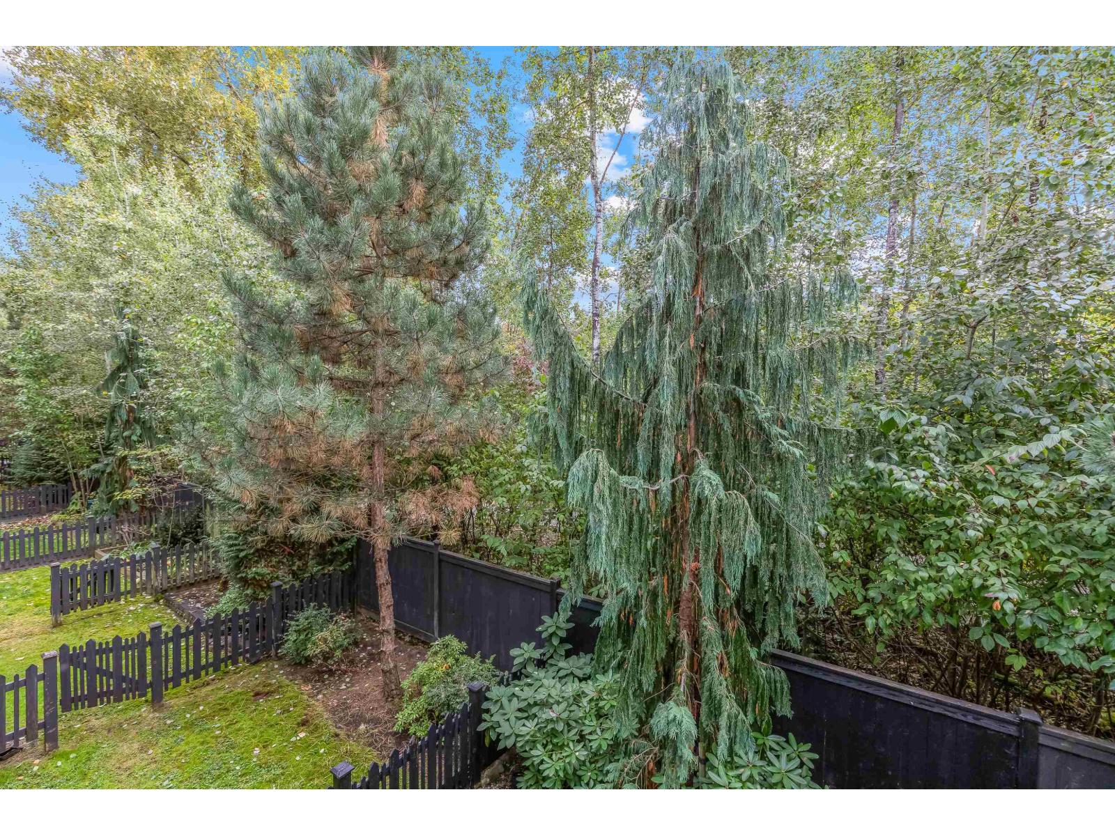 35 20852 77a Avenue, Langley, British Columbia  V2Y 2E6 - Photo 12 - R3058788