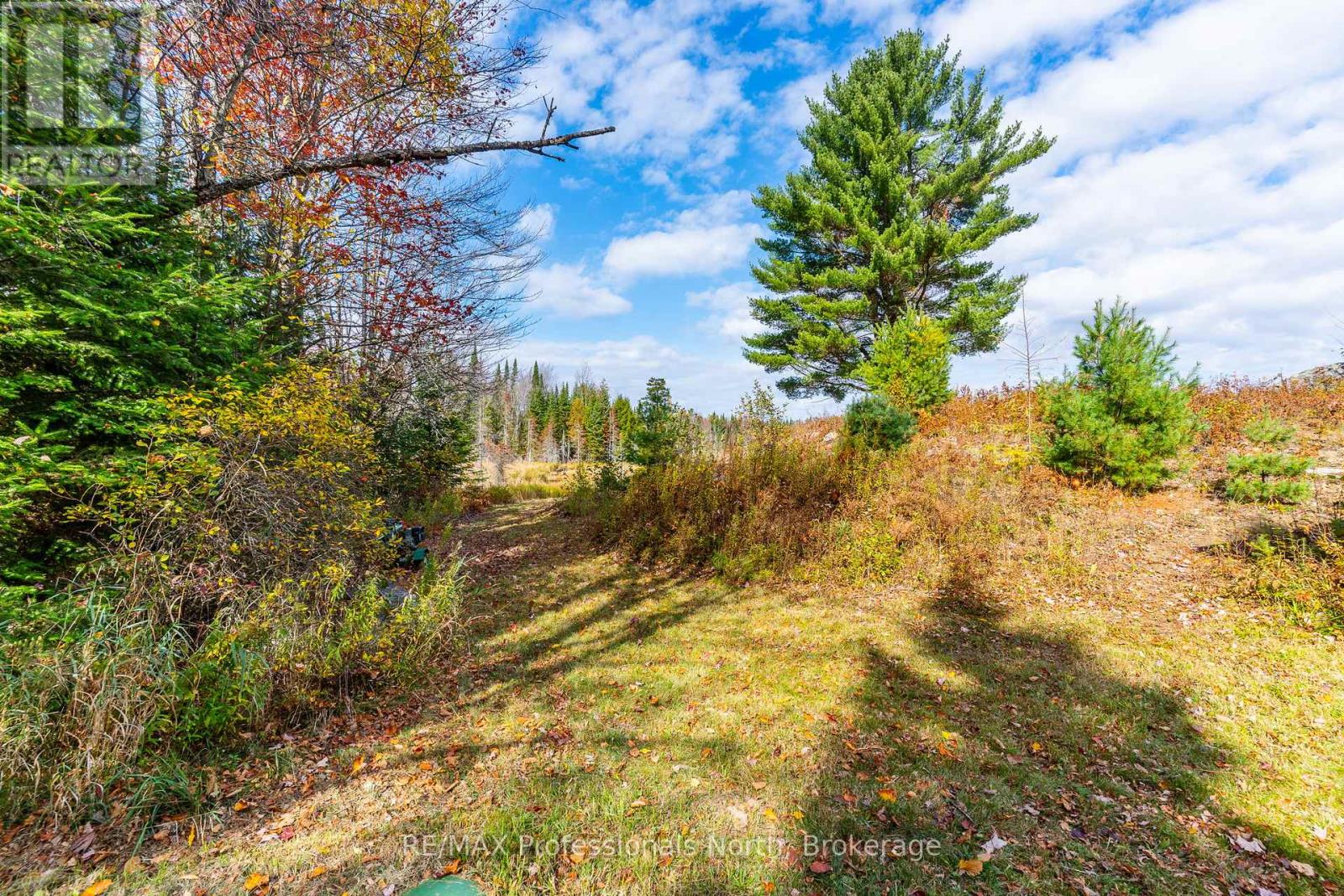 2179 South Lake Road, Minden Hills (Snowdon), Ontario  K0M 2K0 - Photo 29 - X12465807