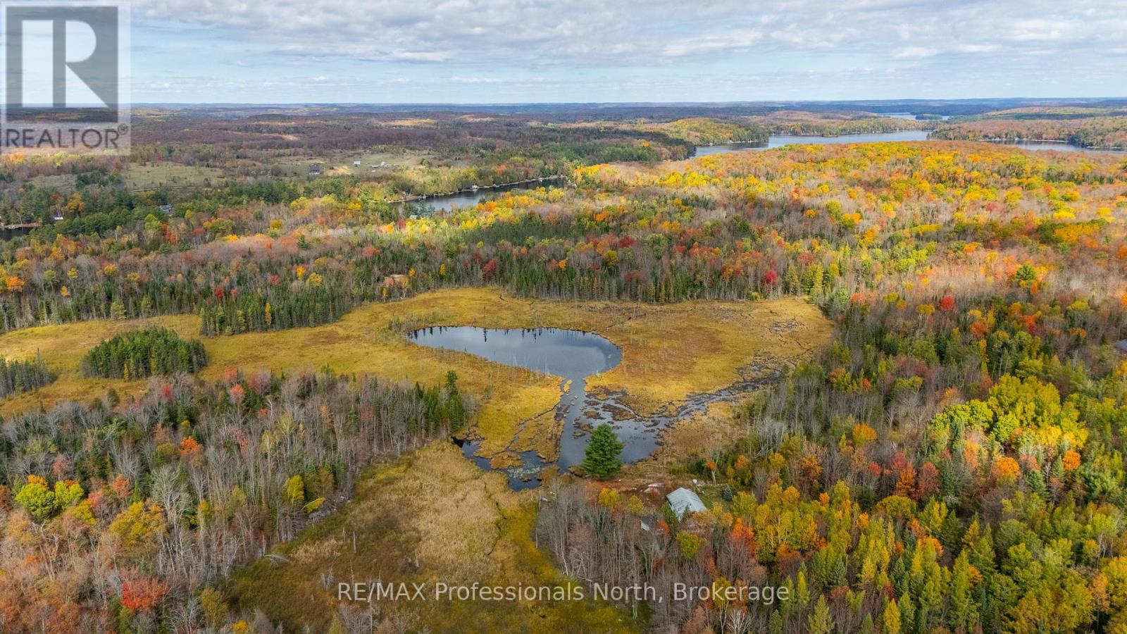 2179 South Lake Road, Minden Hills (Snowdon), Ontario  K0M 2K0 - Photo 37 - X12465807