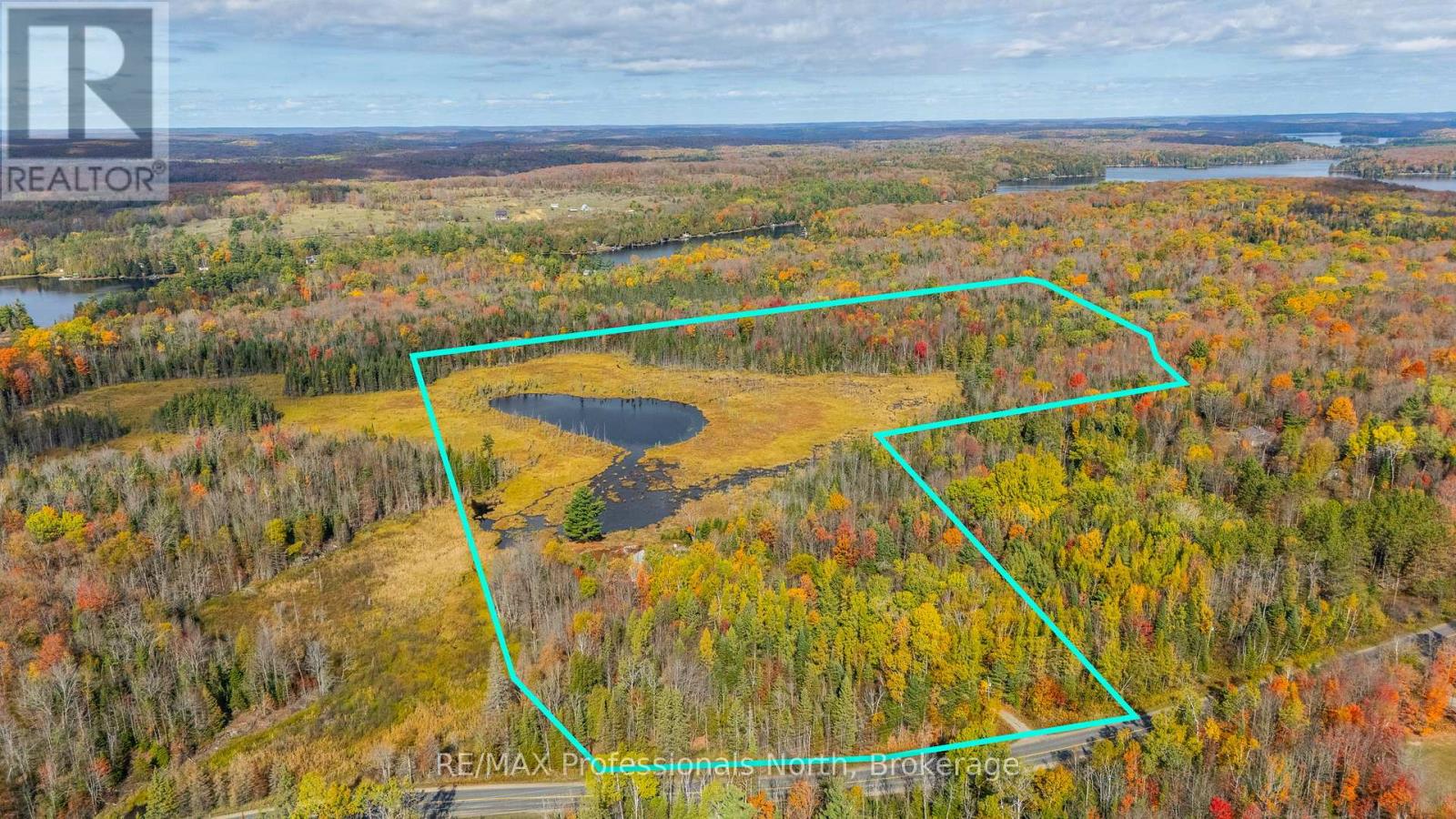 2179 South Lake Road, Minden Hills (Snowdon), Ontario  K0M 2K0 - Photo 38 - X12465807