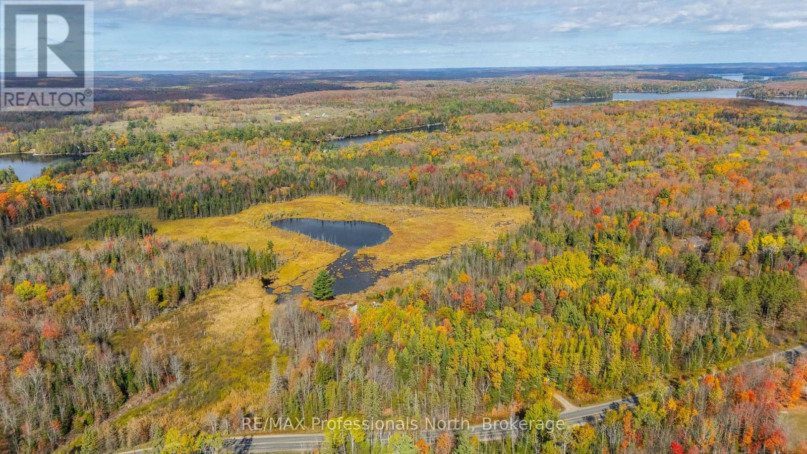 2179 South Lake Road, Minden Hills (Snowdon), Ontario  K0M 2K0 - Photo 39 - X12465807