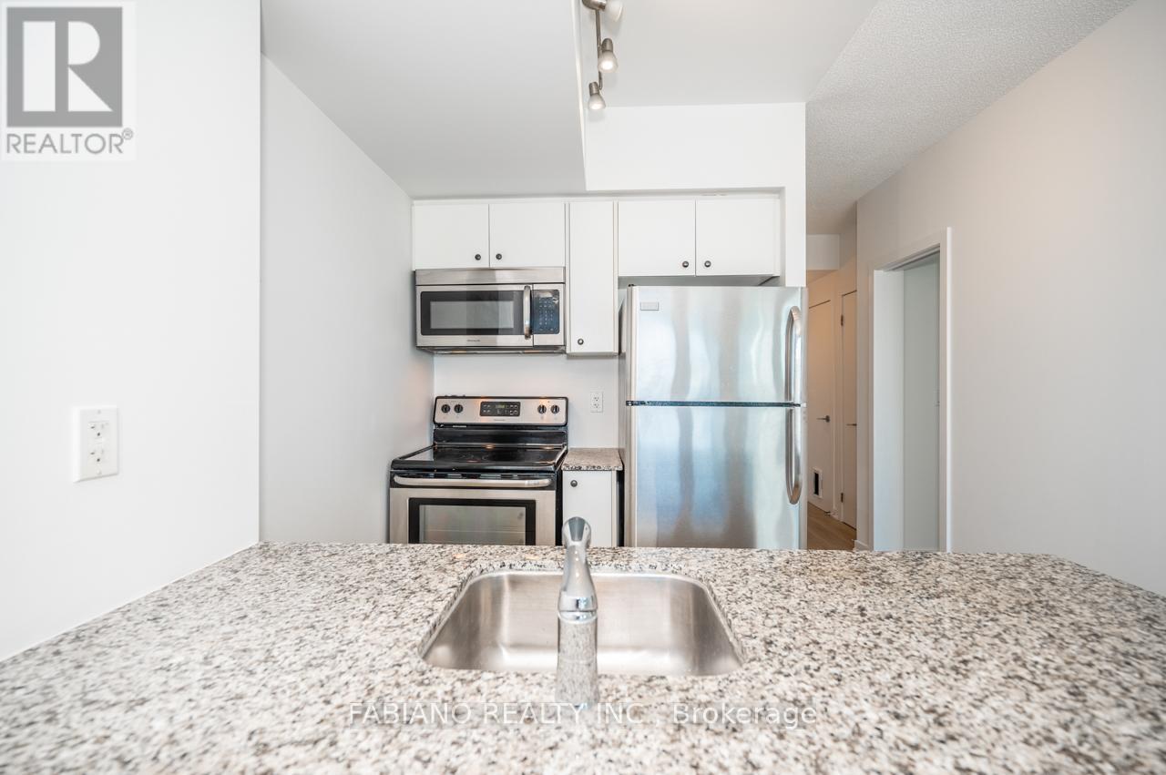 909 - 59 East Liberty Street, Toronto, Ontario  M6K 3R1 - Photo 10 - C12465692
