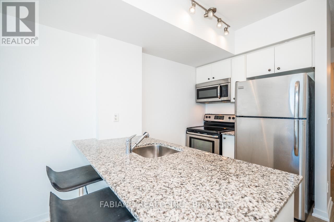 909 - 59 East Liberty Street, Toronto, Ontario  M6K 3R1 - Photo 9 - C12465692