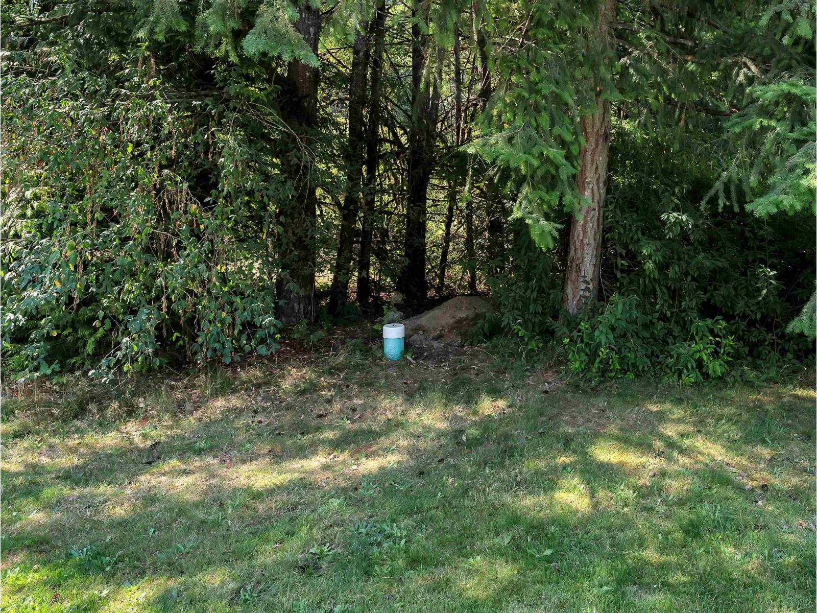 20107 Beacon Road, Hope, Hope, British Columbia  V0X 1L0 - Photo 8 - R3058472