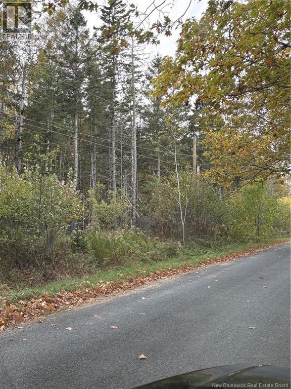 Lot Hannah Road, Dufferin, New Brunswick