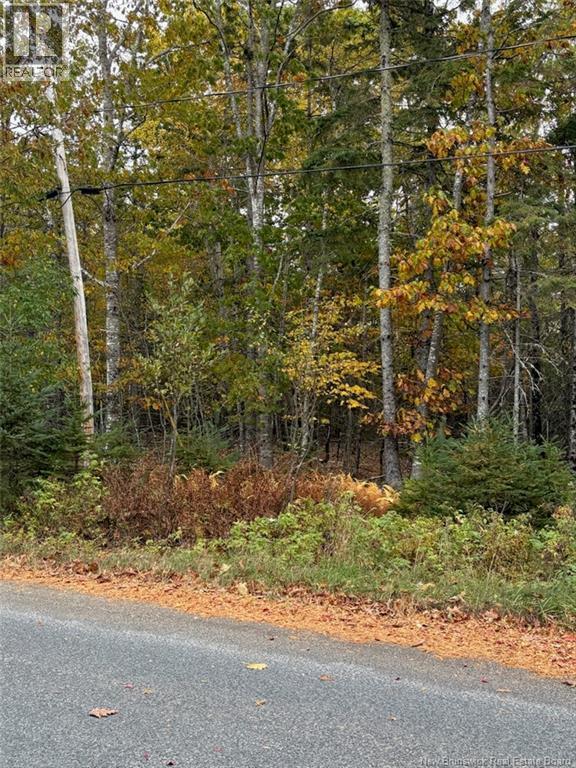 Lot Hannah Road, Dufferin, New Brunswick  E3L 3S4 - Photo 2 - NB128617