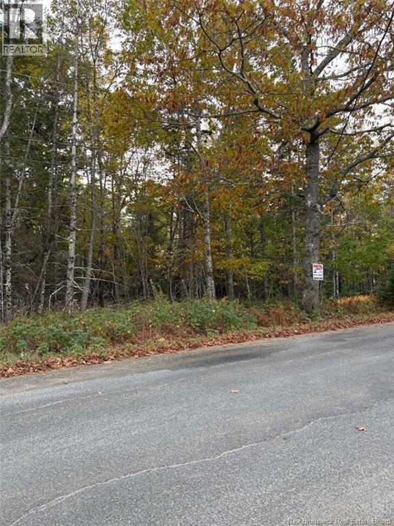 Lot Hannah Road, Dufferin, New Brunswick  E3L 3S4 - Photo 3 - NB128617