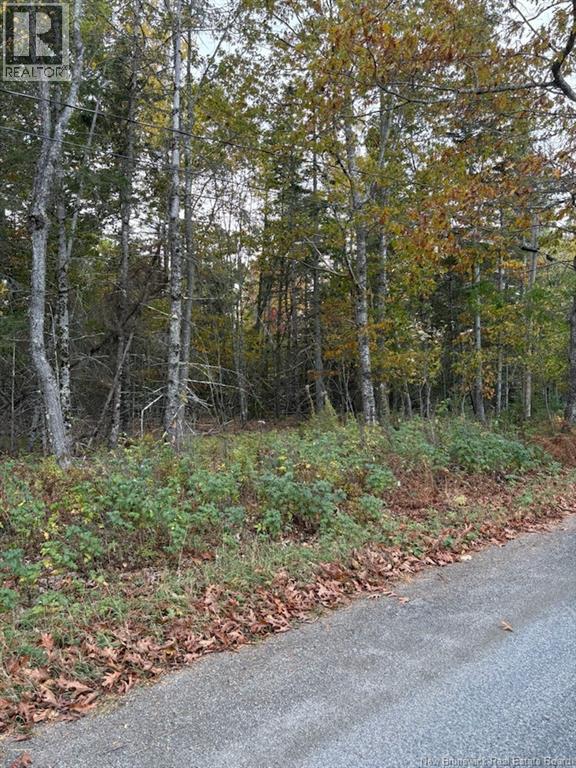 Lot Hannah Road, Dufferin, New Brunswick  E3L 3S4 - Photo 4 - NB128617