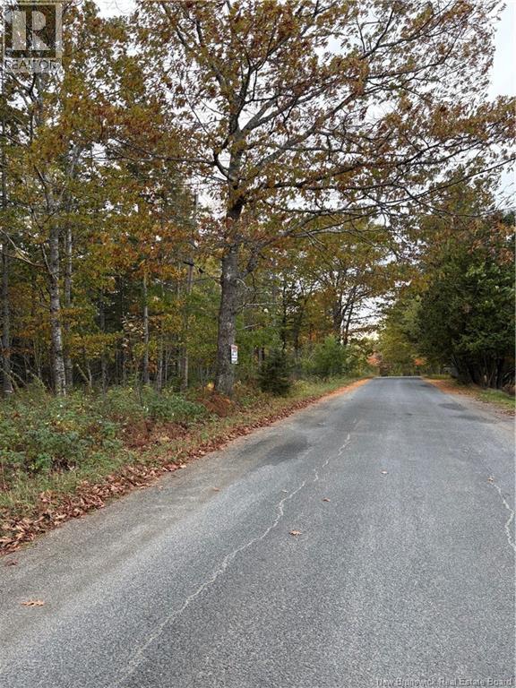 Lot Hannah Road, Dufferin, New Brunswick  E3L 3S4 - Photo 5 - NB128617