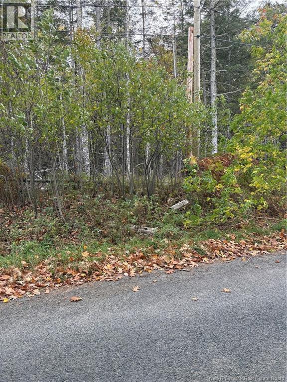 Lot Hannah Road, Dufferin, New Brunswick  E3L 3S4 - Photo 6 - NB128617