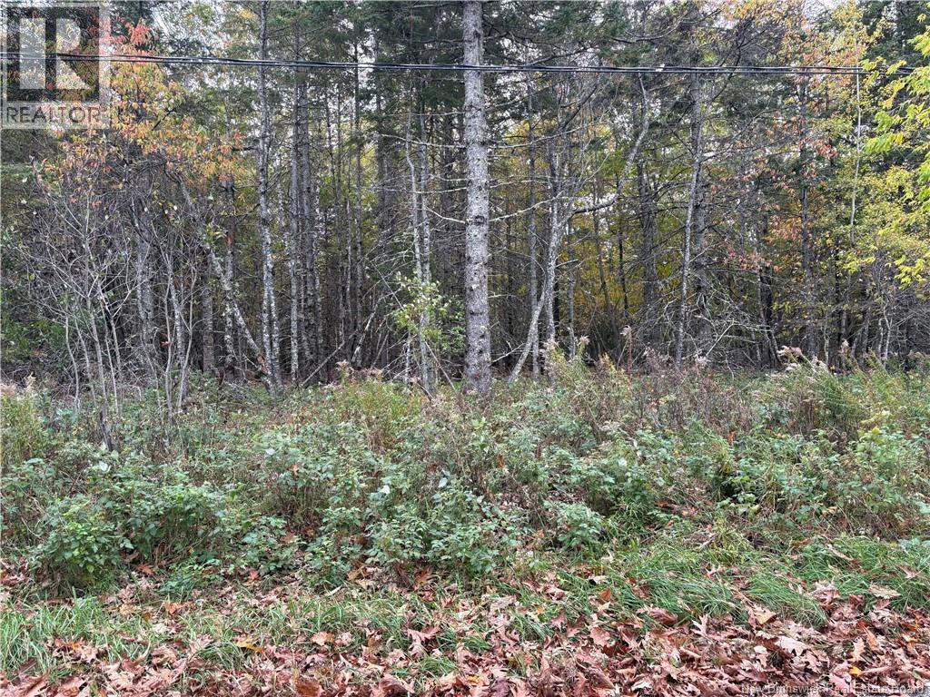 Lot Hannah Road, Dufferin, New Brunswick  E3L 3S4 - Photo 7 - NB128617