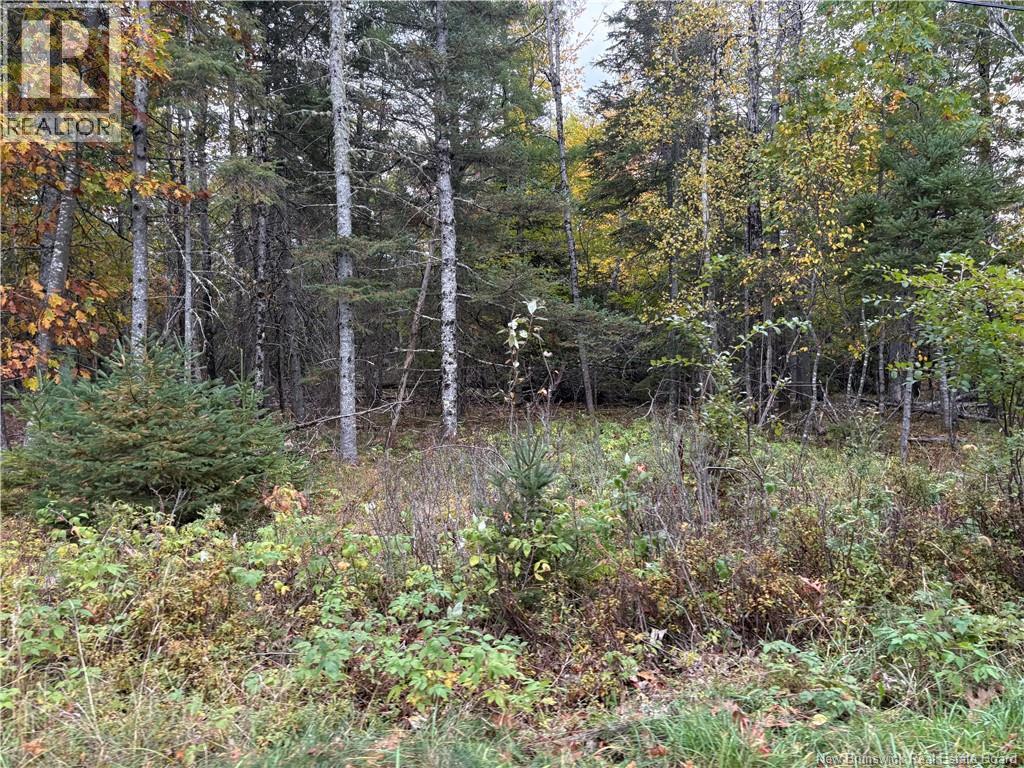 Lot Hannah Road, Dufferin, New Brunswick  E3L 3S4 - Photo 8 - NB128617
