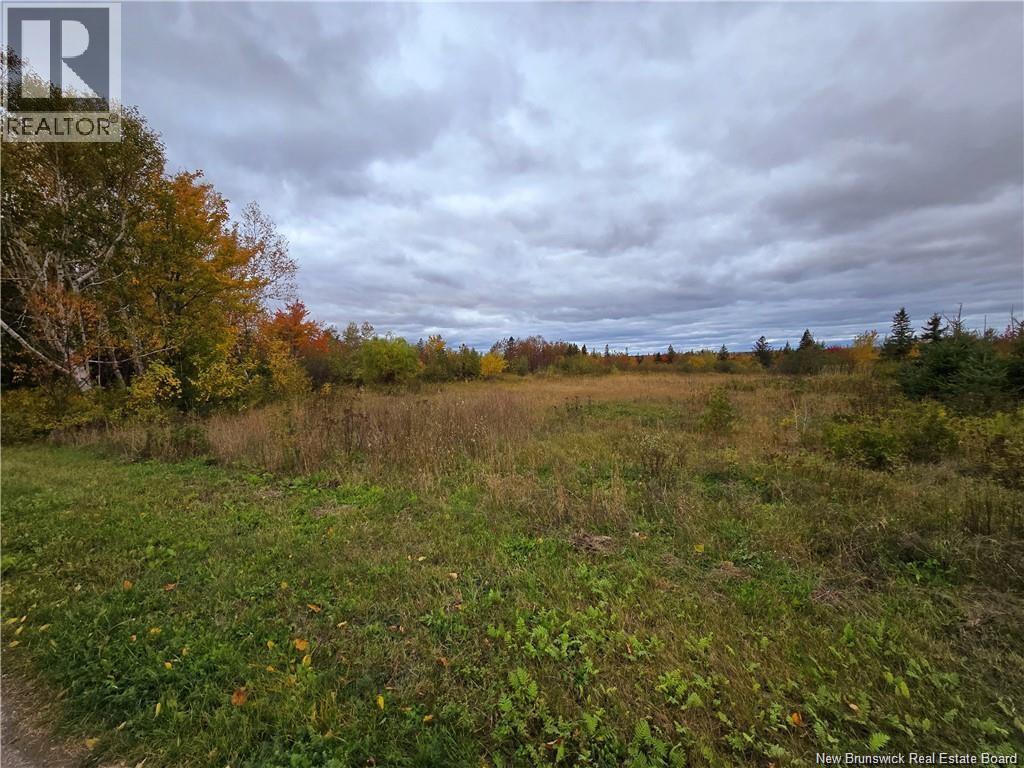 8782sm Blvd Des Acadiens, Bertrand, New Brunswick  E1W 1L9 - Photo 1 - NB128506