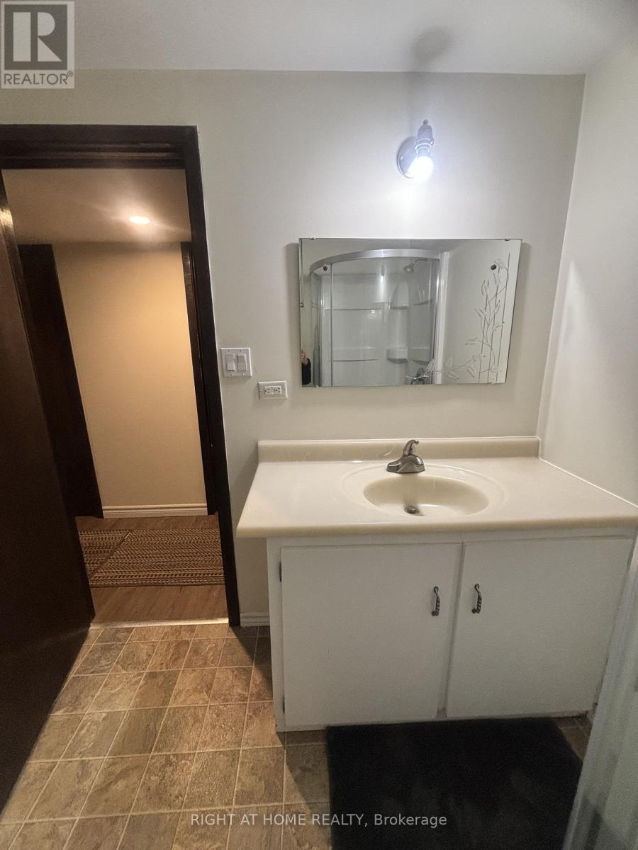 Bsmt - 350 Hillcroft Street, Oshawa (O'neill), Ontario  L1G 2M2 - Photo 27 - E12455691