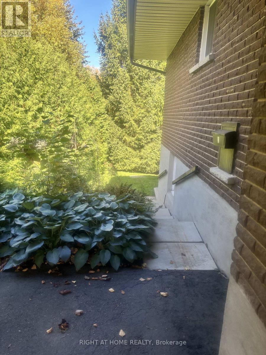 Bsmt - 350 Hillcroft Street, Oshawa (O'neill), Ontario  L1G 2M2 - Photo 45 - E12455691
