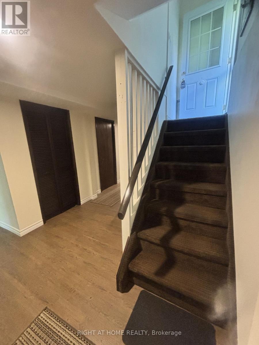 Bsmt - 350 Hillcroft Street, Oshawa (O'neill), Ontario  L1G 2M2 - Photo 7 - E12455691