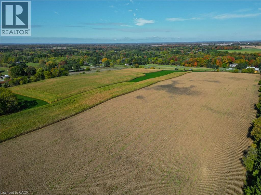 Pt Lt 31 Mineral Springs Road, Ancaster, Ontario  L0R 1T0 - Photo 8 - 40778762
