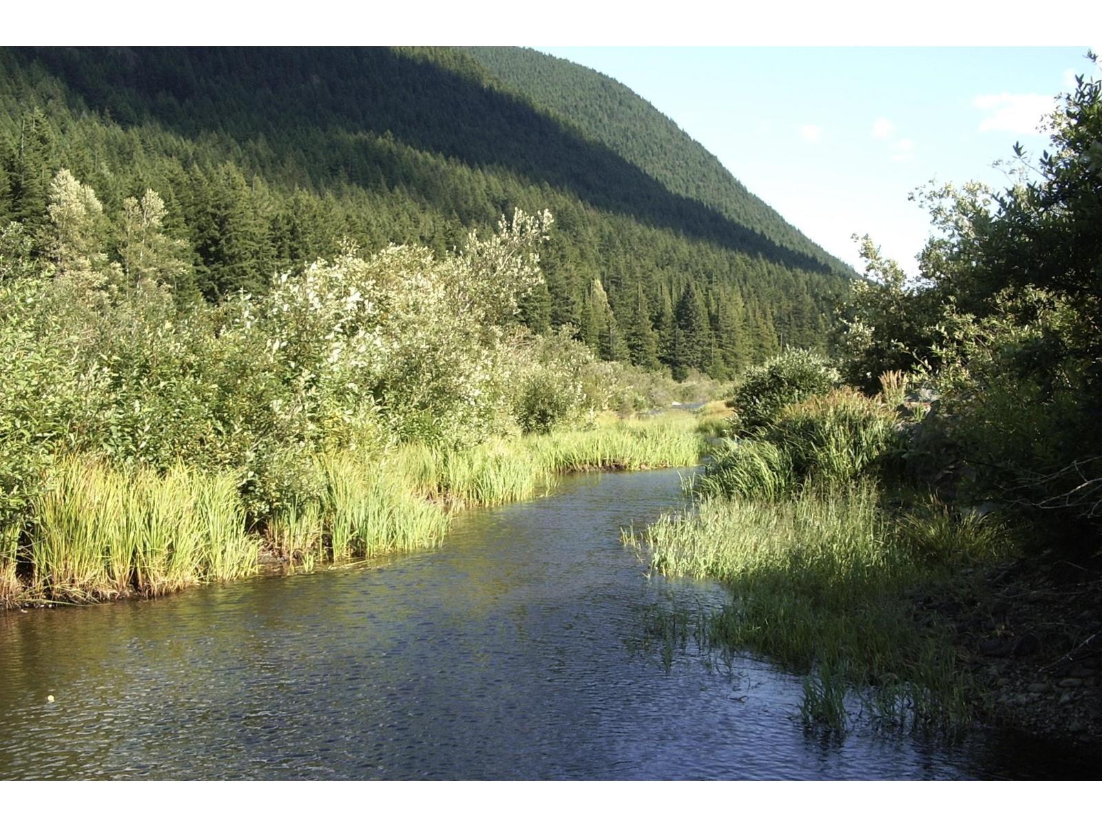 14970 Parkview Avenue, Sunshine Valley, Sunshine Valley, British Columbia  V0X 1L5 - Photo 23 - R3059075