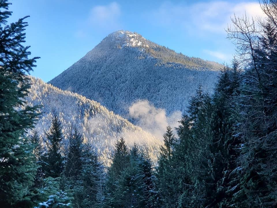 14970 Parkview Avenue, Sunshine Valley, Sunshine Valley, British Columbia  V0X 1L5 - Photo 28 - R3059075