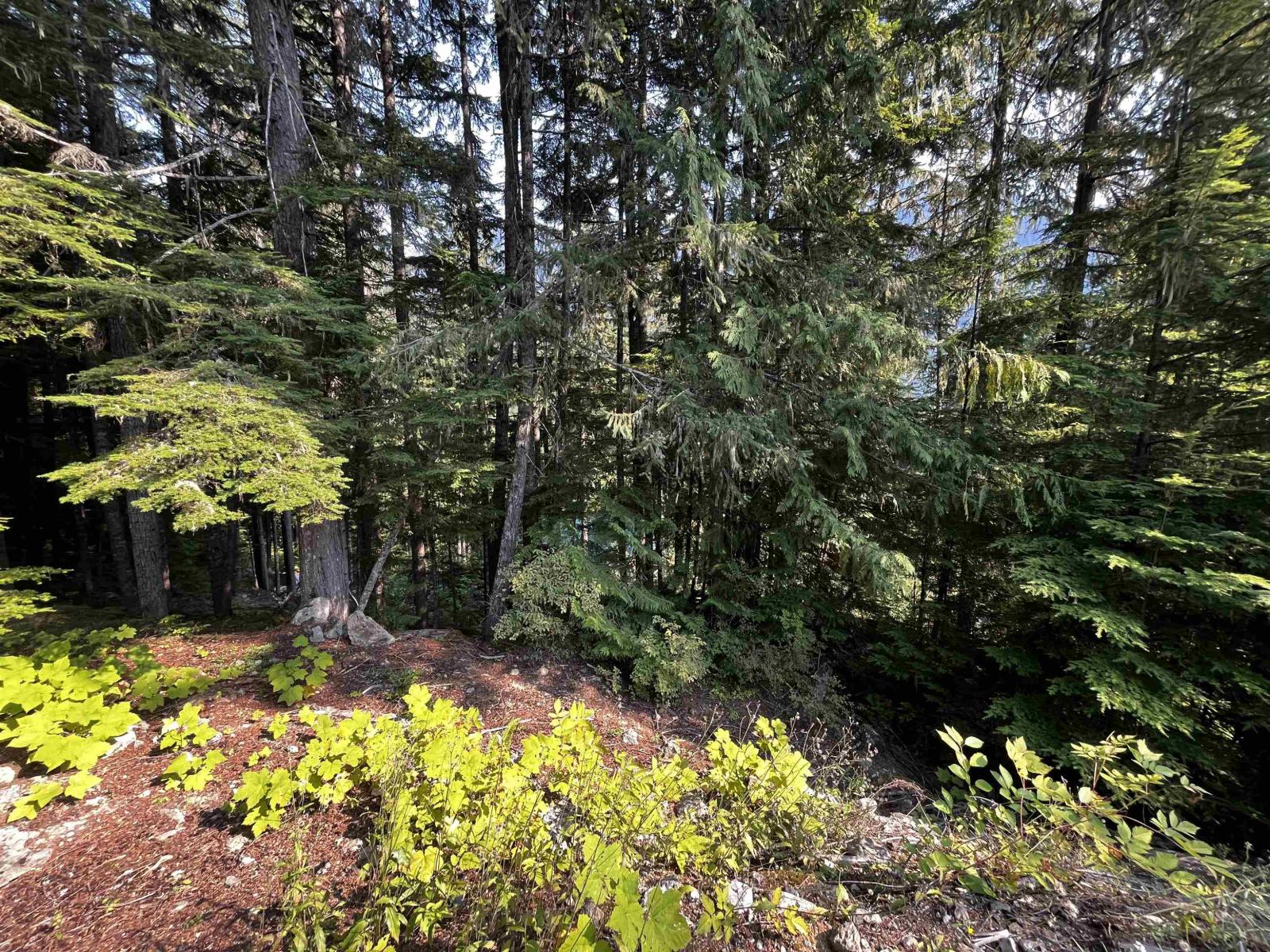 14970 Parkview Avenue, Sunshine Valley, Sunshine Valley, British Columbia  V0X 1L5 - Photo 9 - R3059075