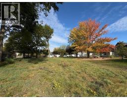 19 Richard STREET South, Ridgetown, Ontario