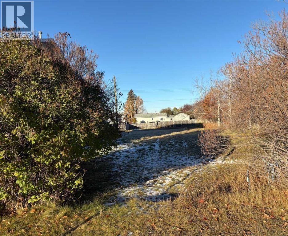 4524 46 Street, Rocky Mountain House, Alberta  T4T 1C6 - Photo 1 - A2263793