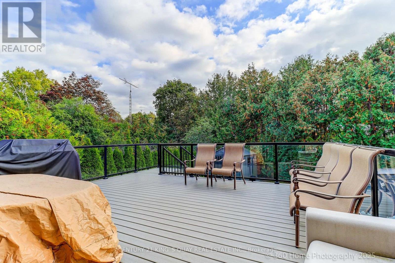 386 Alper Street, Richmond Hill, Ontario  L4C 2Z4 - Photo 47 - N12465971