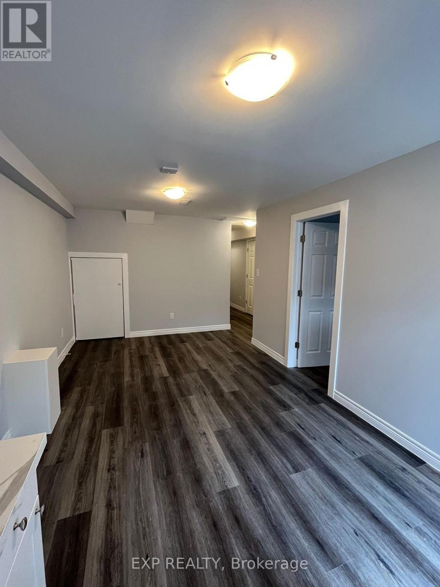 Basement Unit - 99 Oaktree Drive, Haldimand, Ontario  N3W 0C8 - Photo 4 - X12465897