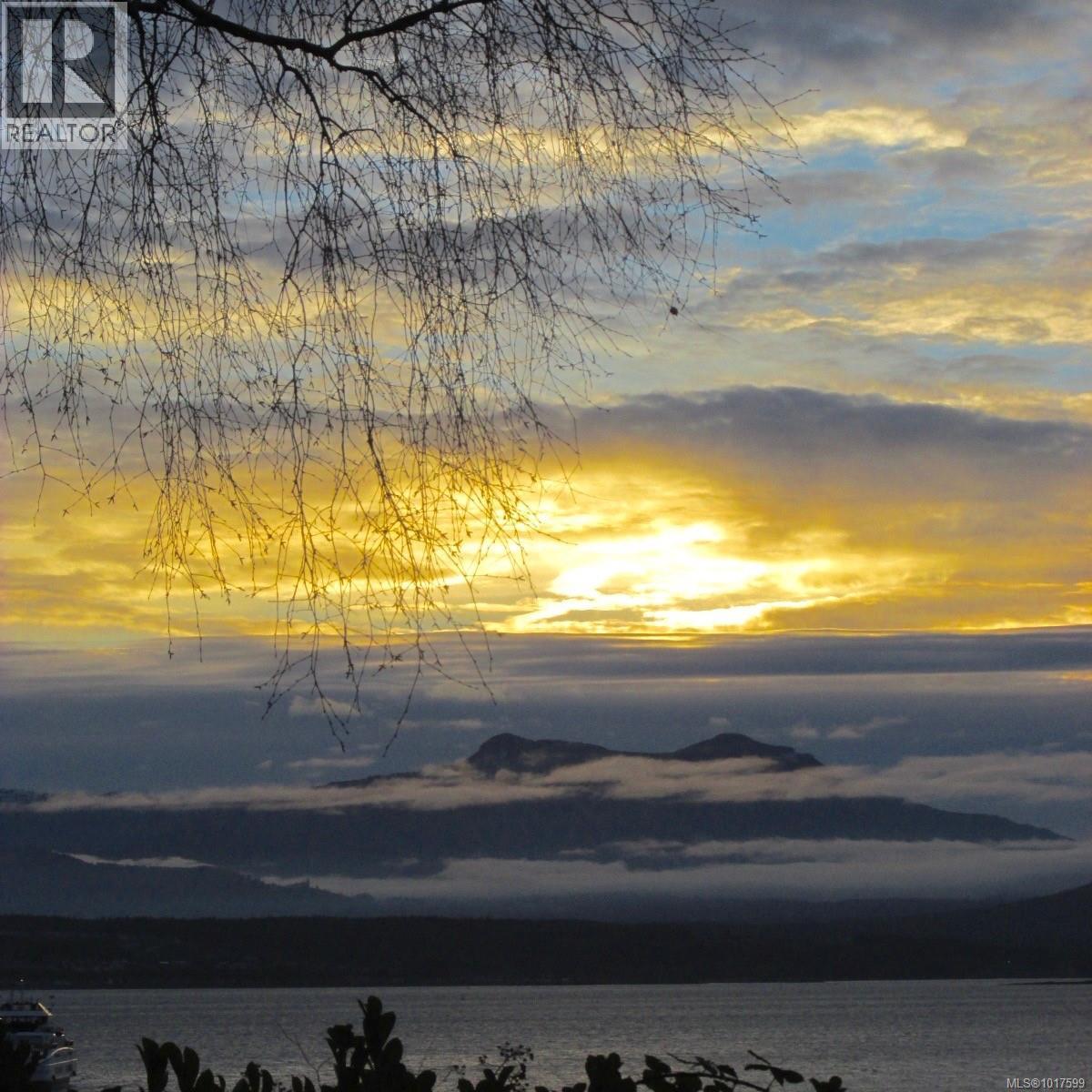 3 2nd St, Sointula, British Columbia  V0N 3E0 - Photo 6 - 1017599