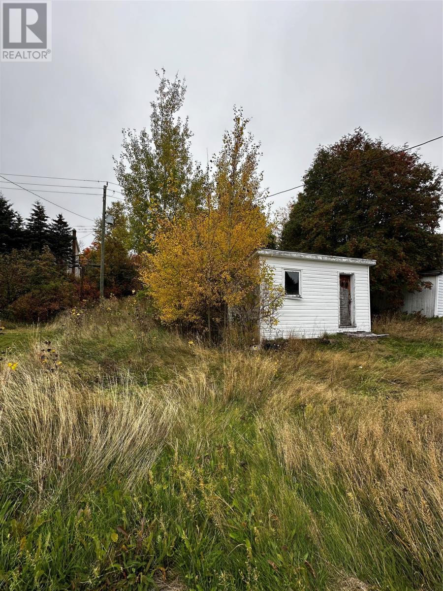 92 Lincoln Road, Grand Falls-Windsor, Newfoundland & Labrador  A2A 1N5 - Photo 3 - 1291602