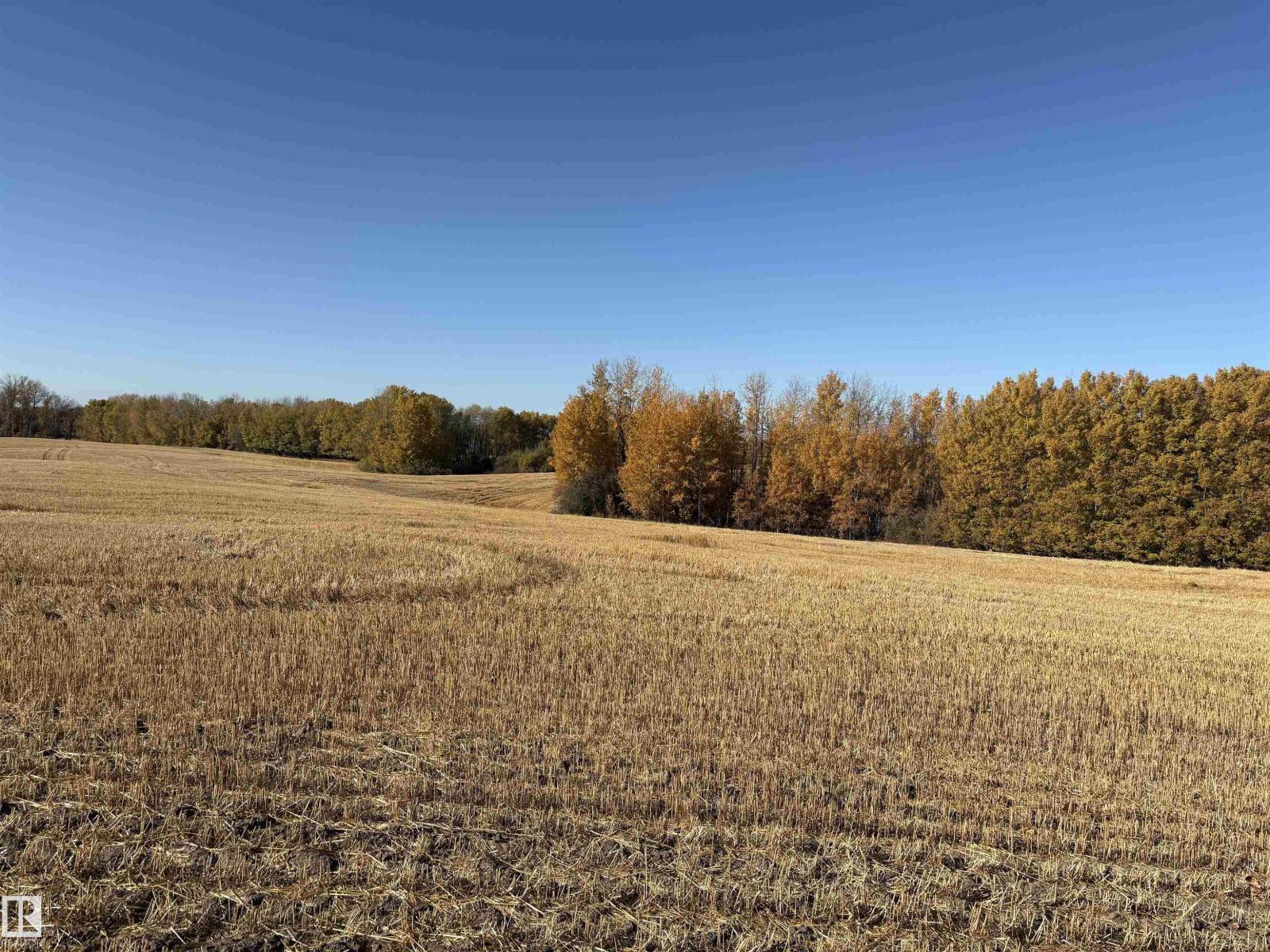 53118 Rr22, Rural Parkland County, Alberta  T0B 0H0 - Photo 2 - E4462327