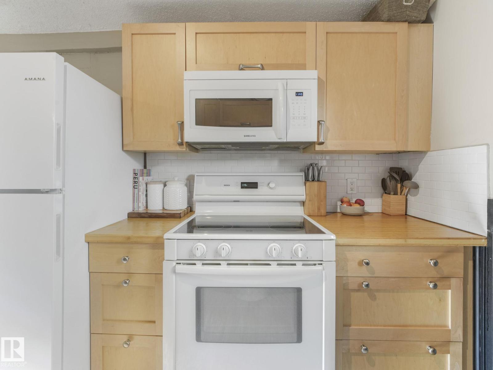 10920 92 St Nw, Edmonton, Alberta  T5H 1W1 - Photo 33 - E4462330