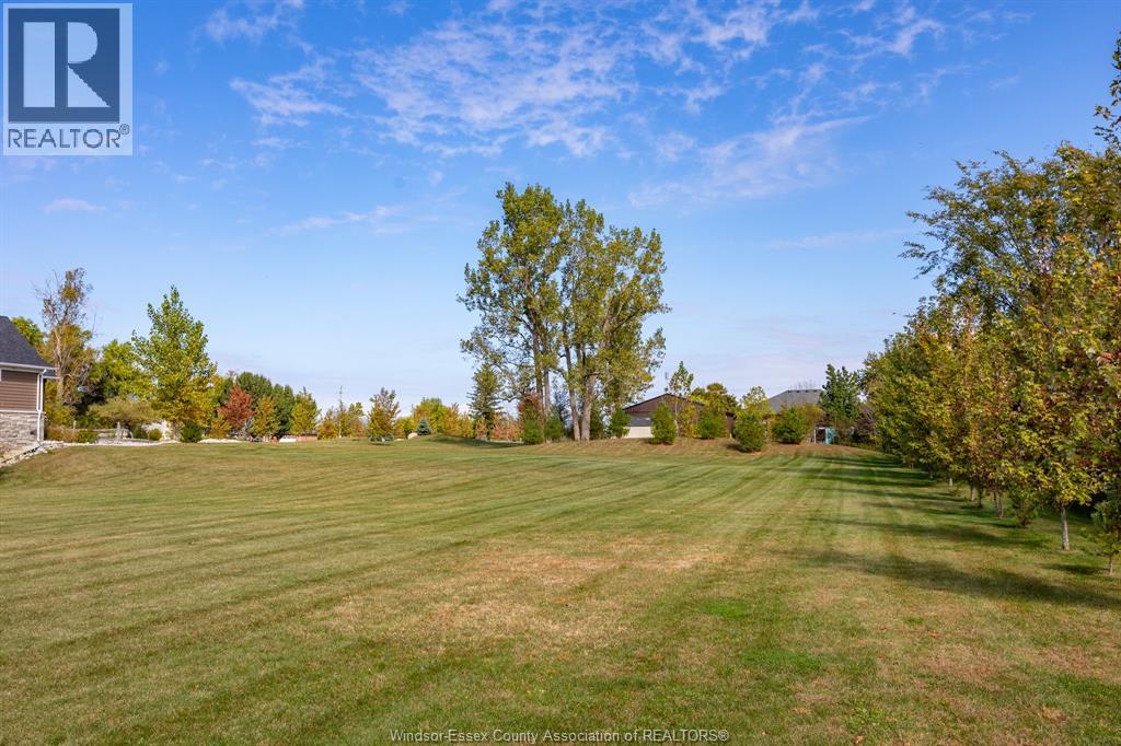 339 County Rd 34 West, Kingsville, Ontario  N8M 2X5 - Photo 41 - 25026345