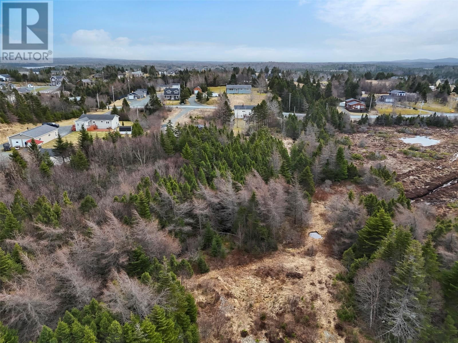 100-102 Cabot Ave Extension, Whitbourne, Newfoundland & Labrador  A0B 3K0 - Photo 4 - 1291558