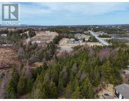 100-102 Cabot Ave Extension, Whitbourne, Newfoundland & Labrador