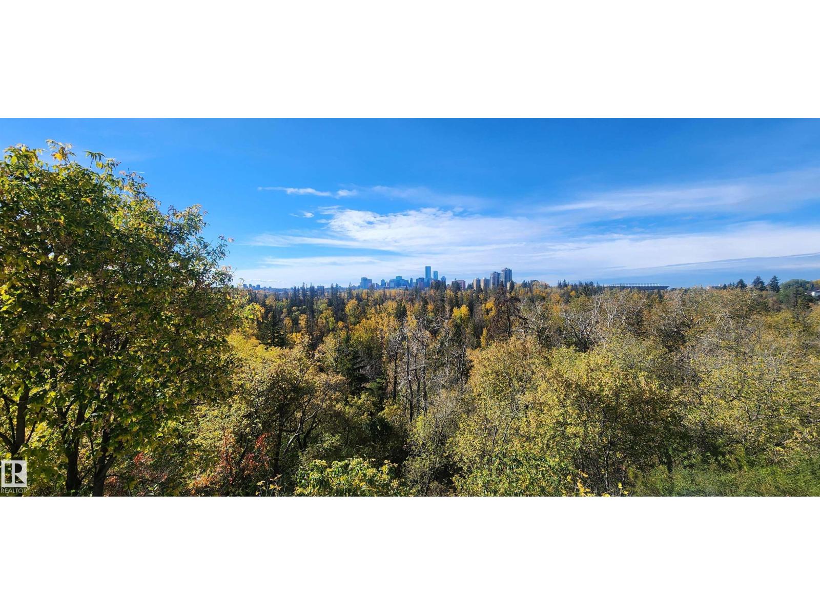 10870 75 St Nw Nw, Edmonton, Alberta  T5B 2A9 - Photo 4 - E4462334