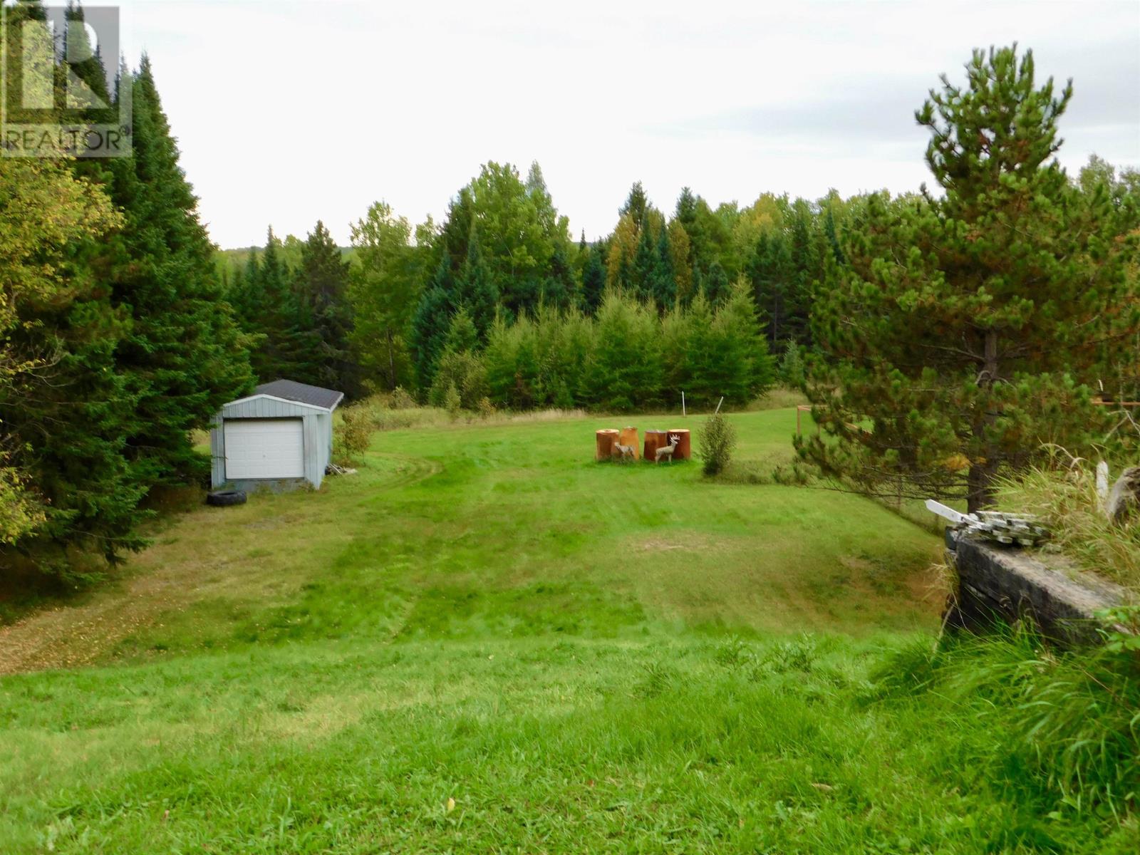 82 Aubrey Rd, Dryden, Ontario  P8N 0A2 - Photo 6 - TB253104