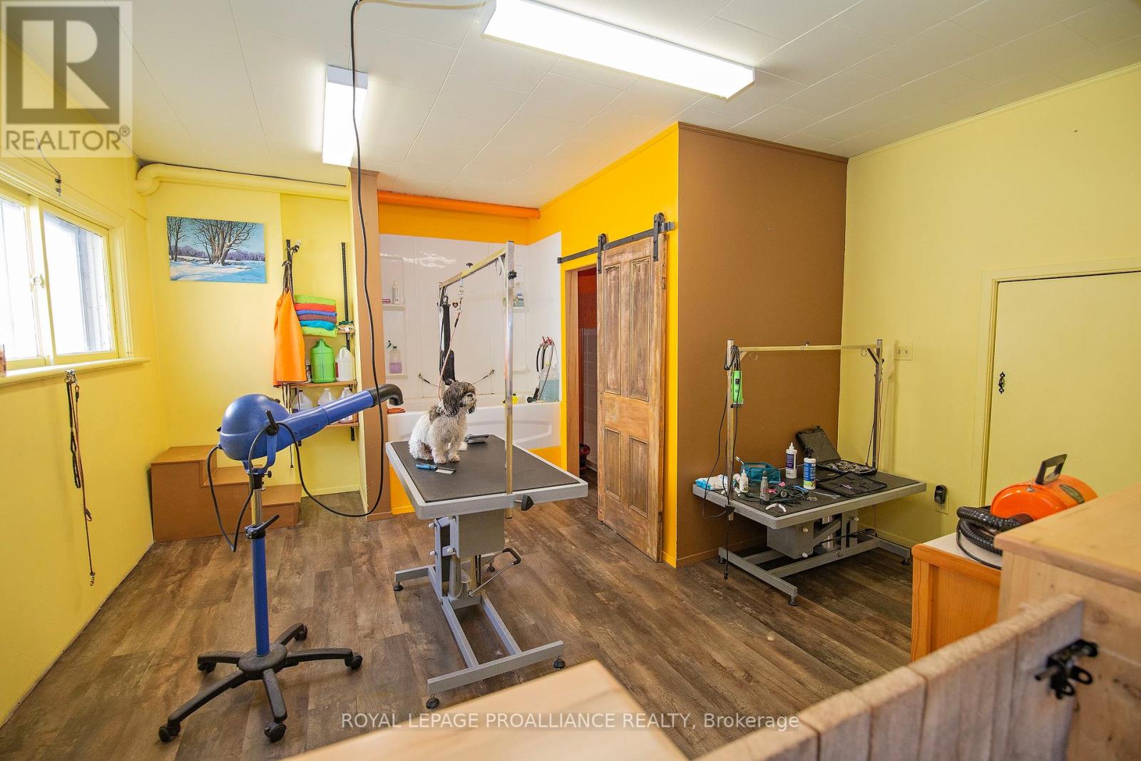 331 Victoria Street N, Tweed, Ontario  K0K 3J0 - Photo 4 - X12466274