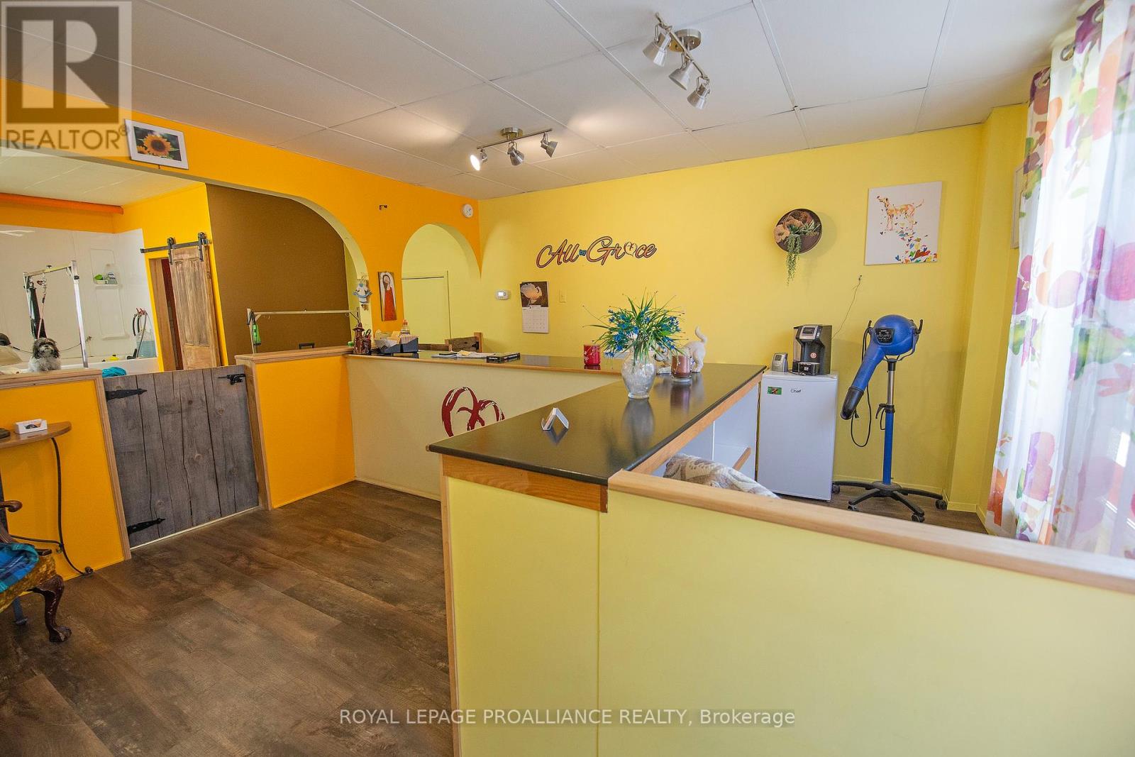 331 Victoria Street N, Tweed, Ontario  K0K 3J0 - Photo 5 - X12466274