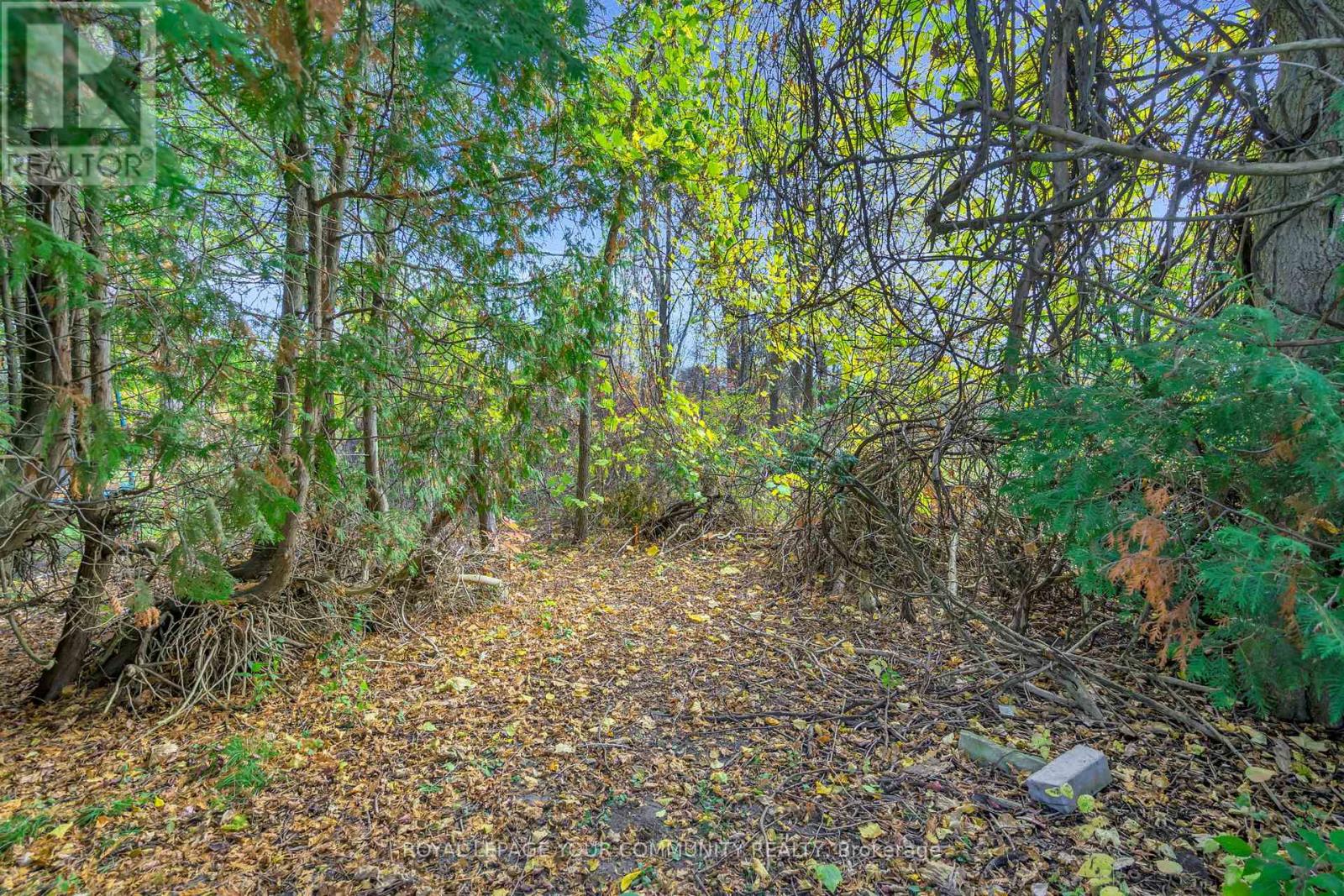 3 Catering Road, Georgina, Ontario  L0E 1R0 - Photo 42 - N12466196