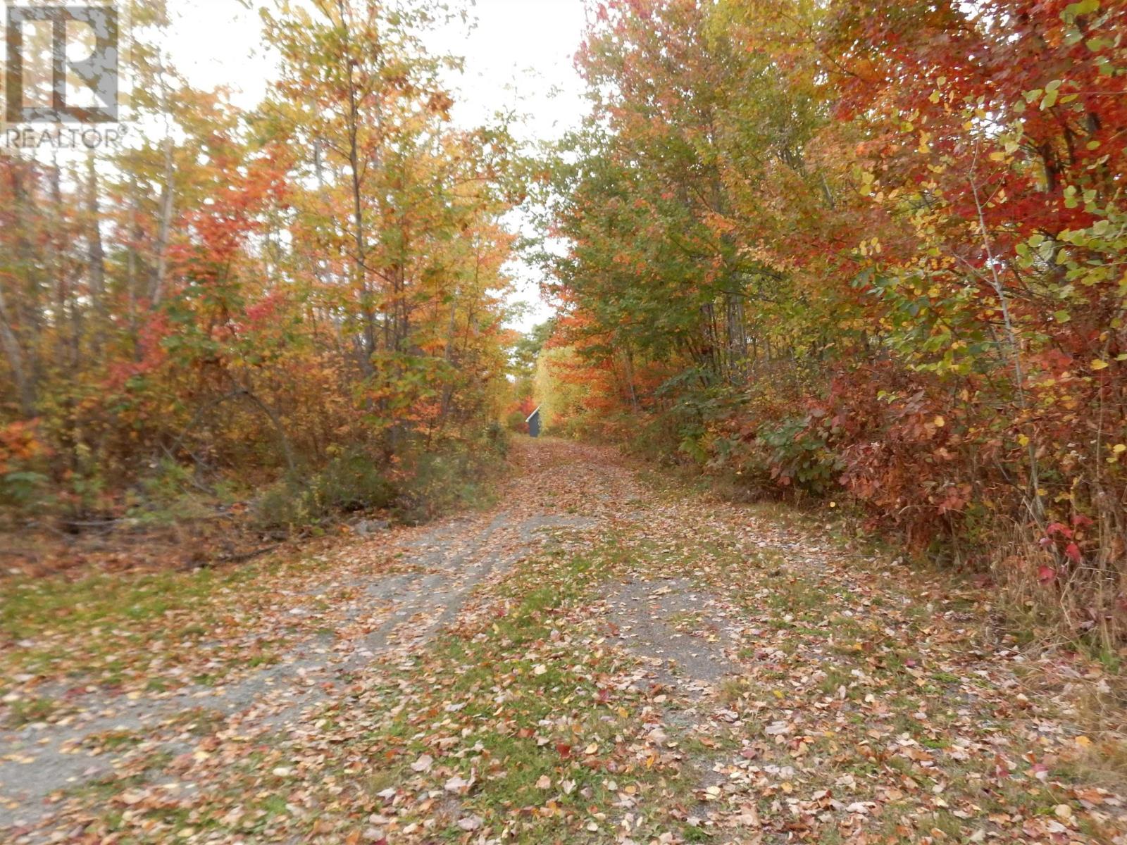 Highway 6, Waldegrave, Nova Scotia  B0K 1V0 - Photo 25 - 202525995