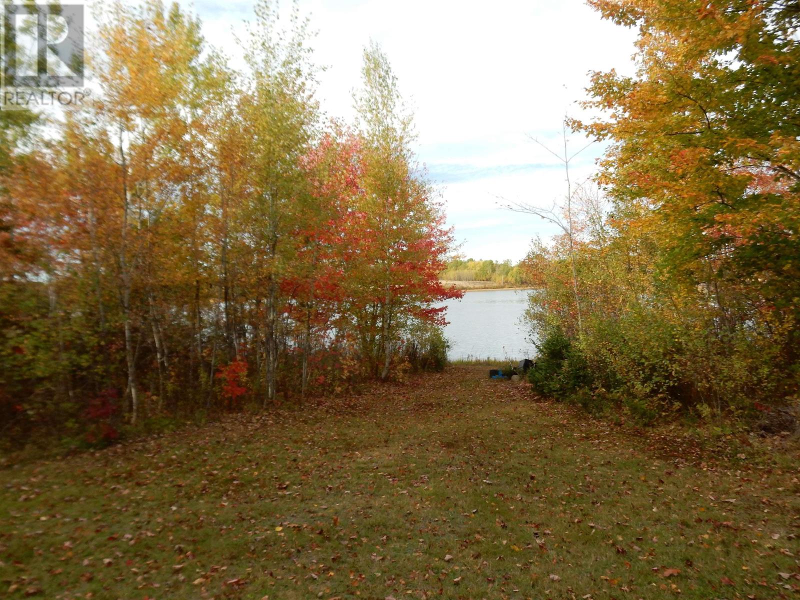 Highway 6, Waldegrave, Nova Scotia  B0K 1V0 - Photo 3 - 202525995
