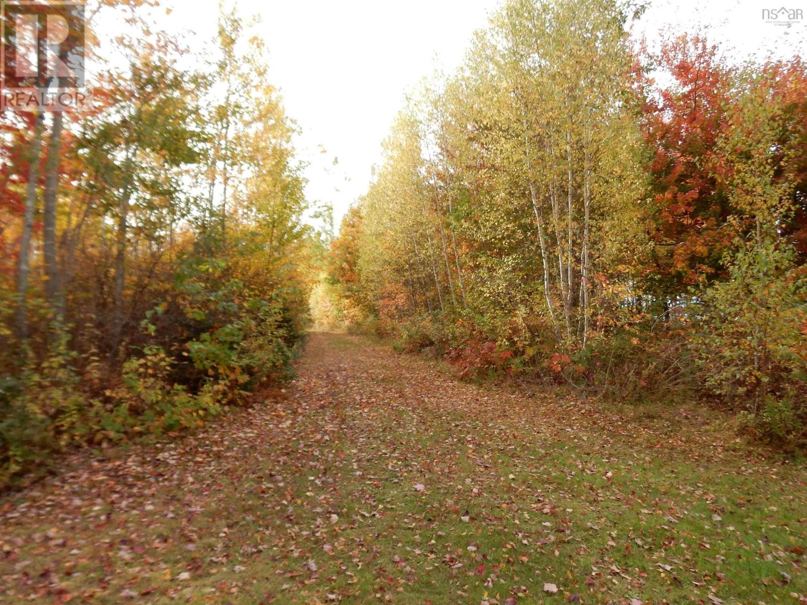Highway 6, Waldegrave, Nova Scotia  B0K 1V0 - Photo 14 - 202525995