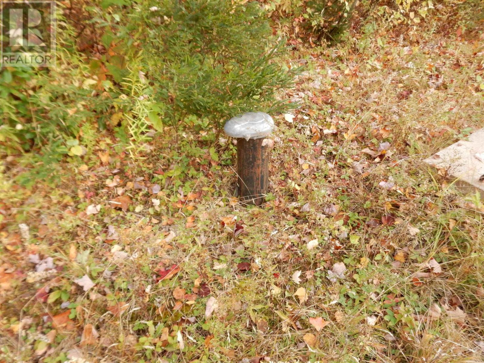 Highway 6, Waldegrave, Nova Scotia  B0K 1V0 - Photo 23 - 202525995